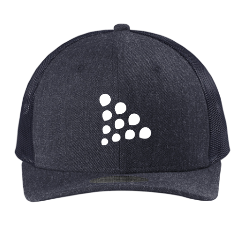 SEEDPG - Era Snapback Low Profile Trucker Cap v1